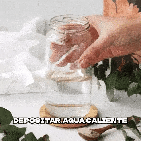 ☕🍄 Café de Hongos RYZE