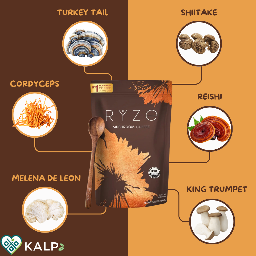 ☕🍄 Café de Hongos RYZE